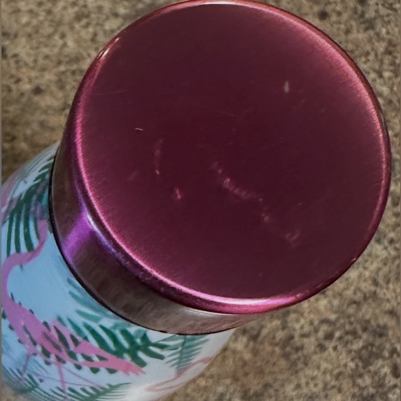 Insulated Metal Water Bottle Flamingo Pink Green Double Wall Screw Top Lid - Picture 6 of 7